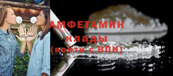 мдпв Няндома