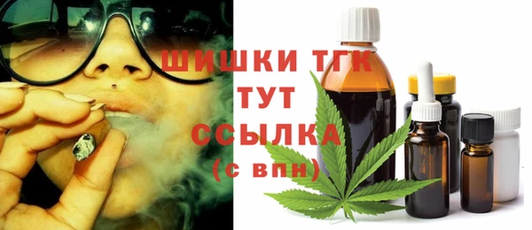 мдпв Няндома