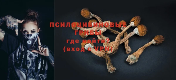 бутират Нягань