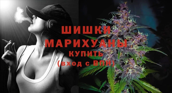 мдпв Няндома
