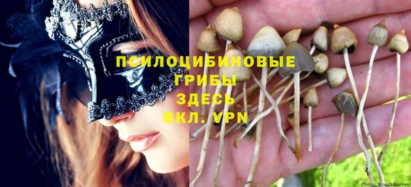 мет Нязепетровск