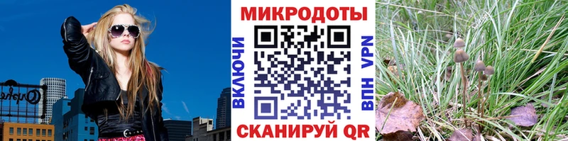 Галлюциногенные грибы Cubensis  KRAKEN как зайти  Щёкино 