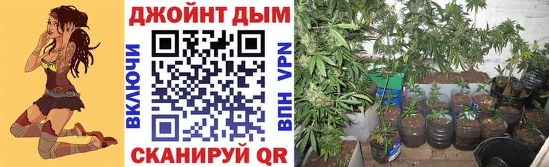 где купить наркотик  Щёкино  OMG зеркало  Марихуана VHQ 